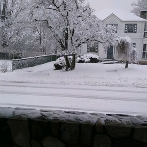 Meet your Posher, Charlayne